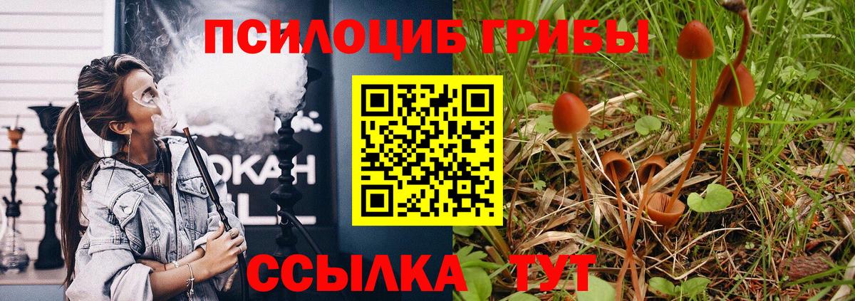 Дзержинск  Псилоцибиновые грибы Psilocybe  Галлюциногенные грибы GOLDEN TEACHER  Вход с VPN 