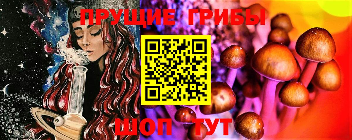 Псилоцибиновые грибы мухоморы Дзержинск